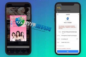最新修复版4链盗U源码/抖阴视频/直播盗u系统/usdt授权源码
