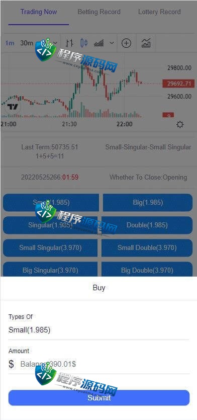 99Bitbet海外双语言竞猜源码/虚拟币大小单双竞猜下注系统/USDT充值