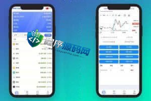 99Bitbet海外双语言竞猜源码/虚拟币大小单双竞猜下注系统/USDT充值