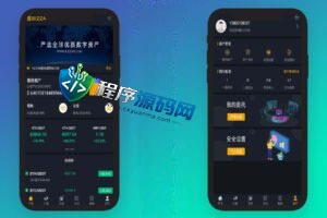 多语言BIZZAN币严交易所源码/多语言交易所系统/币币交易永续合约期权/OTC交易