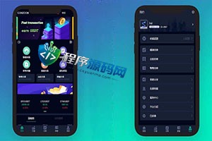 CoinZoom微盘时间盘系统/币币合约期权交易/微交易/伪交易所源码