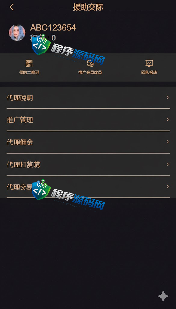 DST Global基金黑色版空降约炮同城任务源码/空降任务系统/彩票带控