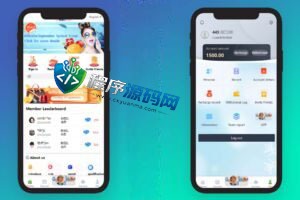 海外版多语言Groupon亚马逊抢单源码/自动刷单平台/分组杀系统