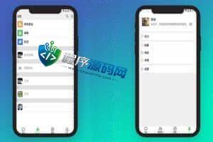 精仿微信im即时聊天系统/语音视频通话/社交即时通讯源码