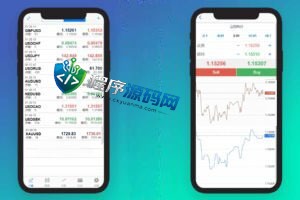 外汇MT5破解版CRM交易所源码/八国语言/可风控涨跌/团队推广/带落地官网页