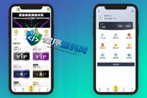 多语言shopify电商SaaS平台刷单源码/抢单刷单系统/订单自动匹配