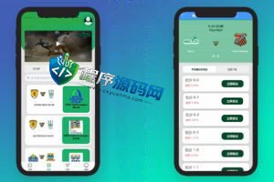 SOCCER海外足球反波胆源码/18国语言/在线银行USDT充值系统/内置聊天/原生APP/多国赛事
