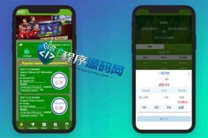 TB365双语言反波胆源码/uinapp反波胆源码/球盘系统/足球下注系统