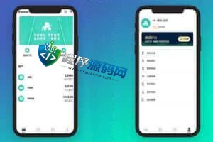 江西耐普矿机源码/TRX理财分红/USDT矿机交易/区块链矿机系统