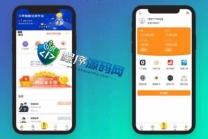 天猫商城刷单源码/新UI二开抢单源码/订单自动匹配系统/订单连单